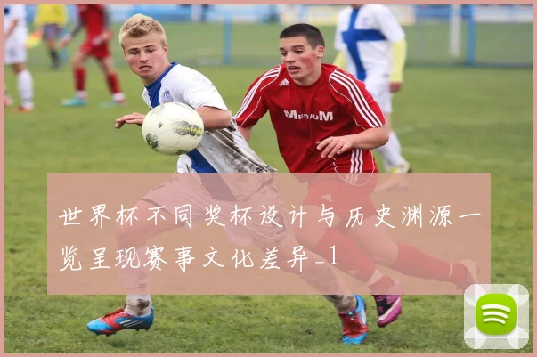 世界杯不同奖杯设计与历史渊源一览呈现赛事文化差异_1